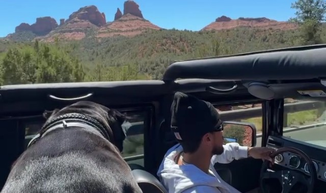 电竞比分-布克驾悍马携爱犬出游 独行时光萌宠相伴